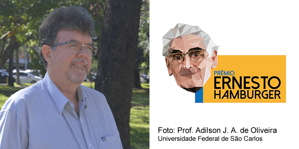 acontece 2019 06 06