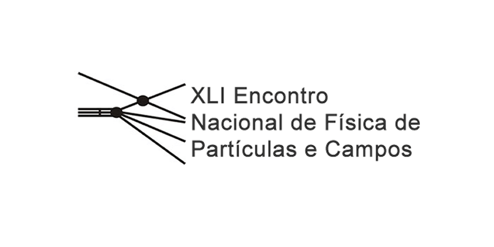 XLI Encontro Nacional de Física de Partículas e Campos