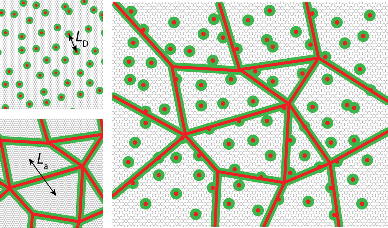 Imagem integrante do artigo Science and Metrology of defects in graphene using Raman Spectroscopy.